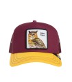 Goorin - Gorra Burdeos Unisex - The Real Talk Owl