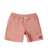 Quiksilver - Bañador Rosa para Hombre - Everyday Solid Volley