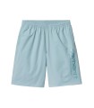 Carhartt - Bañador Celeste para Hombre - Chase Swim