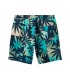 Quiksilver - Bañador Verde para Hombre - Surfsilk Mix Volley 16"