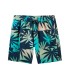 Quiksilver - Bañador Verde para Hombre - Surfsilk Mix Volley 16"