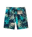 Quiksilver - Bañador Verde para Hombre - Surfsilk Mix Volley 16"